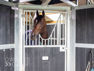 WG031025-1 - Jaramillo